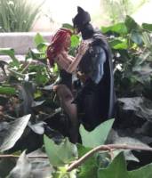 Poison Ivy (V5) (DC Universe) Custom Action Figure