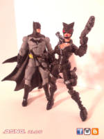 Catwoman (DC Universe) Custom Action Figure