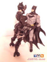 Catwoman (DC Universe) Custom Action Figure