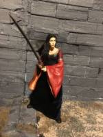 Arwen (Lord of the Rings) Custom Action Figure