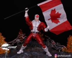 Captain Canuck (Masters of the Universe) Custom Action Figure