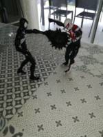 Weaponised black spiderman (Marvel Legends) Custom Action Figure