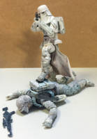 Imperial Snowtroopers (Star Wars) Custom Action Figure [Trooper Triumphant]