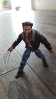 Logan Wolverine (Marvel) Custom Action Figure