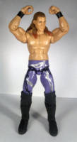 Chris Jericho (Purple Barbed Wire Attire) (Wrestling) Custom Action Figure