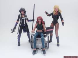 Black Canary (DC Universe) Custom Action Figure [Black Canary custom action figure with Birds of Prey]