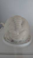 Krang (Teenage Mutant Ninja Turtles) Custom Statue / Bust