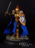 Champion of Accord (Fantasy) Custom Action Figure