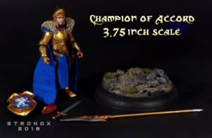 Champion of Accord (Fantasy) Custom Action Figure