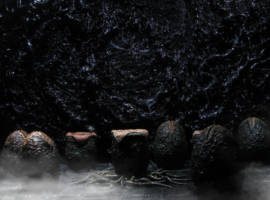 Embryonic Xenomorph egg (Aliens) Custom Miniature / Figurine
