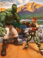 Cammy ( tactical gear) (Street Fighter) Custom Action Figure