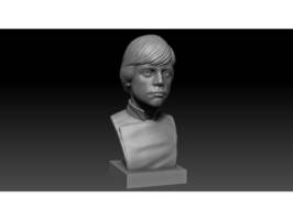 Luke Skywalker Jedi Knight (3D Printed Bust) (Star Wars) Custom Statue / Bust [Original 3D Model]