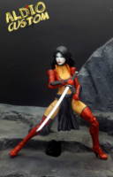 shi (Crossover) Custom Action Figure