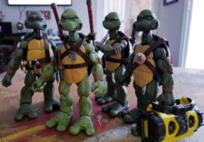 Tmnt (Teenage Mutant Ninja Turtles) Custom Action Figure