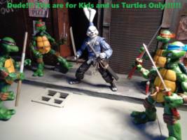 Usagi Yojimbo (Teenage Mutant Ninja Turtles) Custom Action Figure