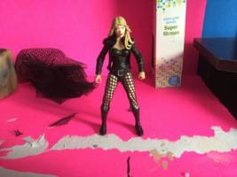 Black Canary (DC Universe) Custom Action Figure