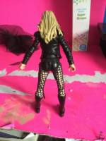 Black Canary (DC Universe) Custom Action Figure