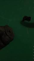 NECA Balrog Repairs Custom Tutorial Picture #2 [Making a joint #360 not 420]