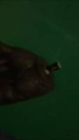 NECA Balrog Repairs Custom Tutorial Picture #3 [Whittling]